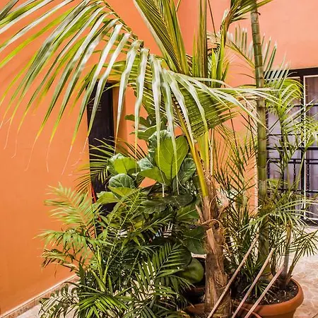 Apartamento San Marcos *